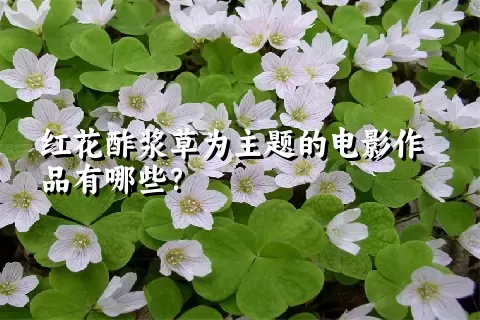 红花酢浆草为主题的电影作品有哪些？