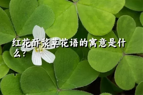 红花酢浆草花语的寓意是什么？