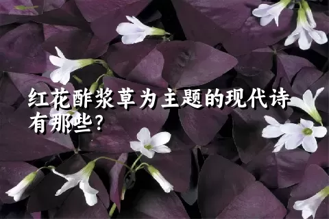 红花酢浆草为主题的现代诗有那些？