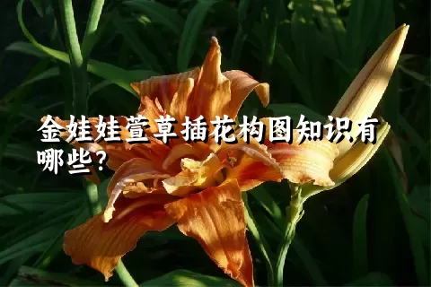 金娃娃萱草插花构图知识有哪些？