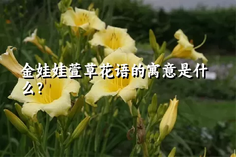 金娃娃萱草花语的寓意是什么？