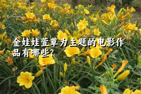 金娃娃萱草为主题的电影作品有哪些？