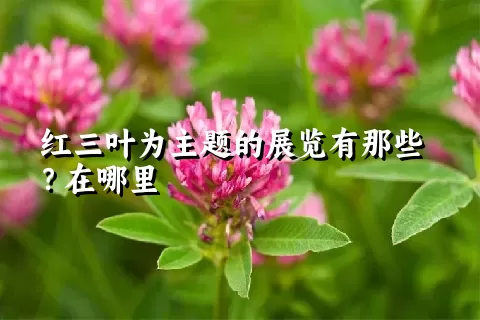 红三叶为主题的展览有那些？在哪里