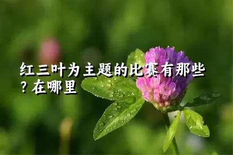 红三叶为主题的比赛有那些？在哪里