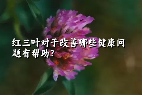 红三叶对于改善哪些健康问题有帮助？