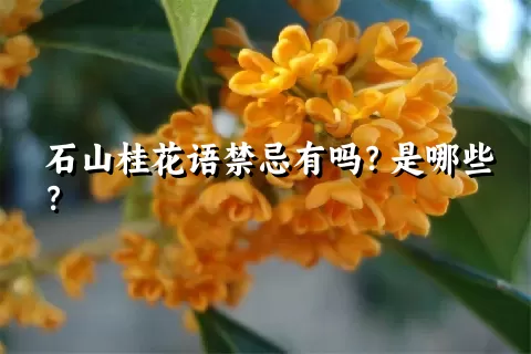 石山桂花语禁忌有吗？是哪些？