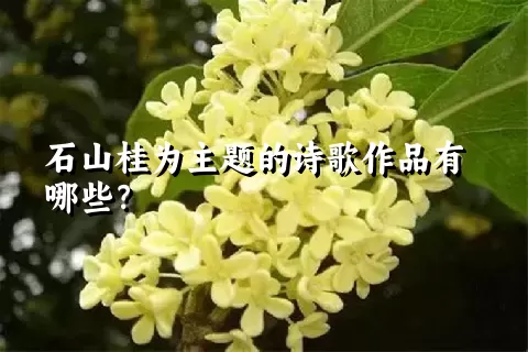 石山桂为主题的诗歌作品有哪些？