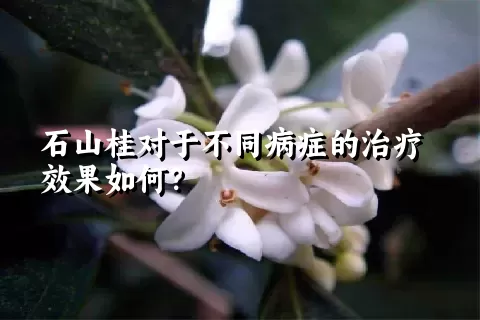 石山桂对于不同病症的治疗效果如何？