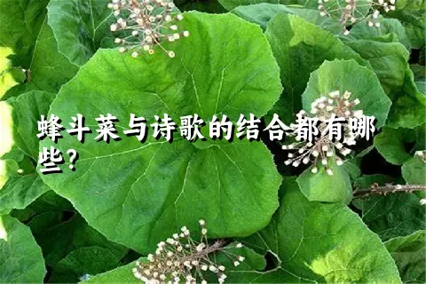 蜂斗菜与诗歌的结合都有哪些？