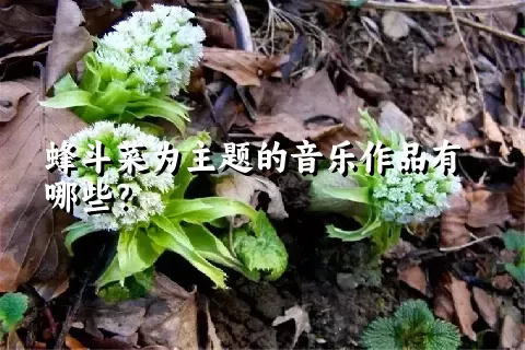 蜂斗菜为主题的音乐作品有哪些？