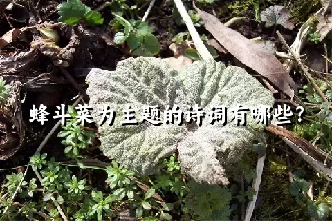 蜂斗菜为主题的诗词有哪些？