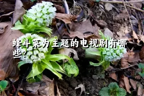 蜂斗菜为主题的电视剧有哪些？