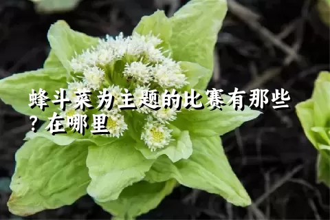 蜂斗菜为主题的比赛有那些？在哪里