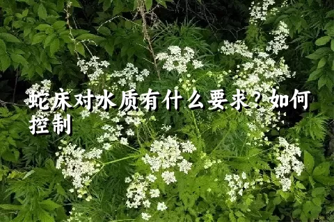 蛇床对水质有什么要求？如何控制