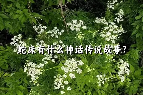 蛇床有什么神话传说故事？