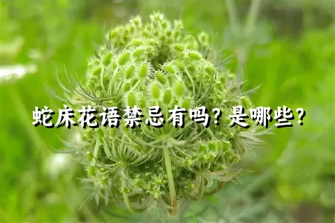 蛇床花语禁忌有吗？是哪些？