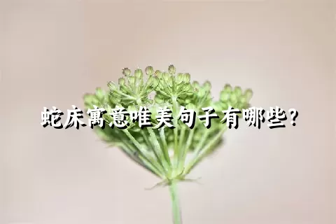 蛇床寓意唯美句子有哪些？