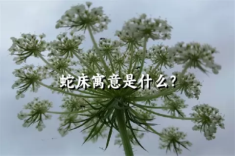 蛇床寓意是什么？