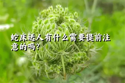 蛇床送人有什么需要提前注意的吗？