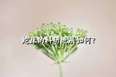 蛇床的科研进展如何？