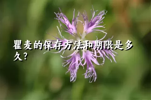 瞿麦的保存方法和期限是多久？