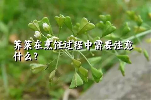 荠菜在烹饪过程中需要注意什么？