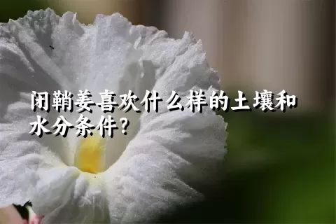 闭鞘姜喜欢什么样的土壤和水分条件？