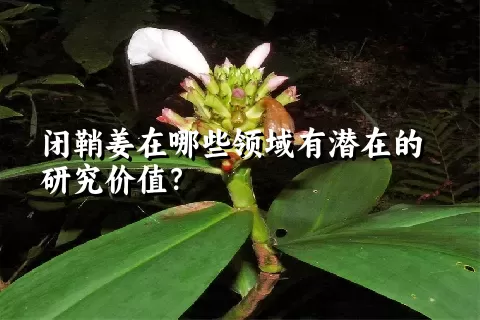 闭鞘姜在哪些领域有潜在的研究价值？