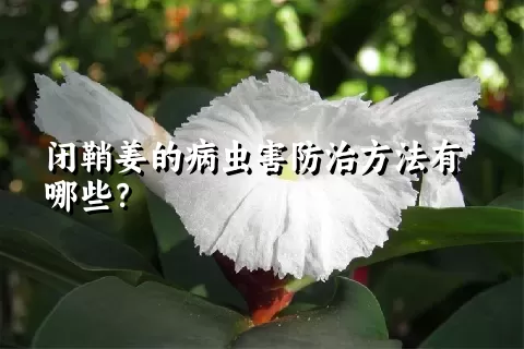 闭鞘姜的病虫害防治方法有哪些？