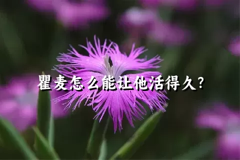 瞿麦怎么能让他活得久？