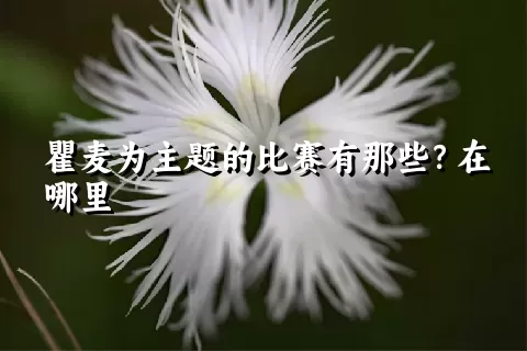 瞿麦为主题的比赛有那些？在哪里