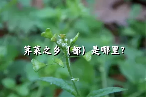 荠菜之乡（都）是哪里？