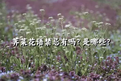 荠菜花语禁忌有吗？是哪些？