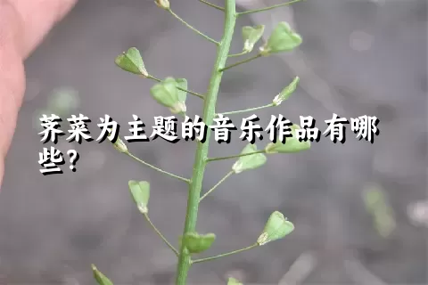 荠菜为主题的音乐作品有哪些？