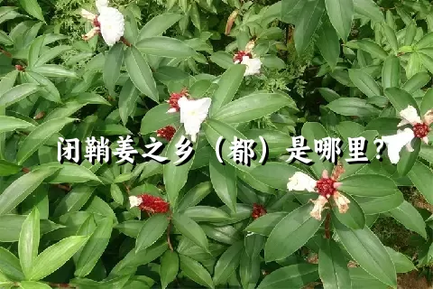 闭鞘姜之乡（都）是哪里？