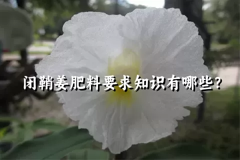 闭鞘姜肥料要求知识有哪些？