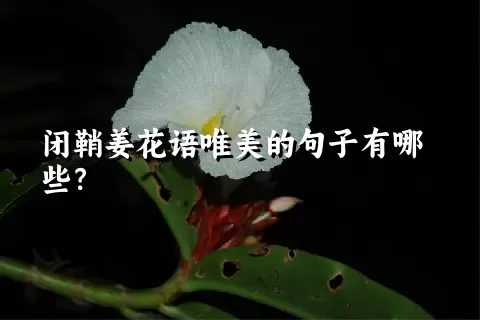 闭鞘姜花语唯美的句子有哪些？