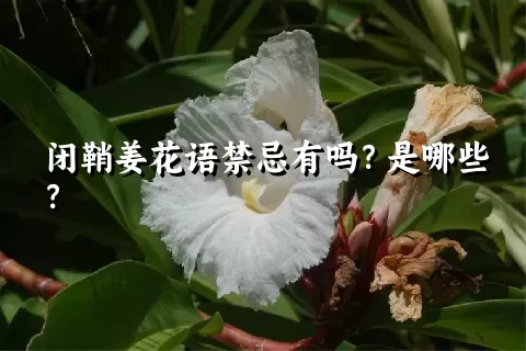 闭鞘姜花语禁忌有吗？是哪些？