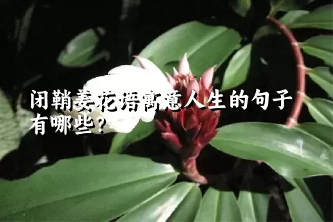 闭鞘姜花语寓意人生的句子有哪些？