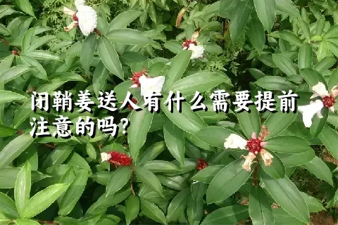 闭鞘姜送人有什么需要提前注意的吗？