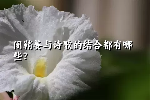 闭鞘姜与诗歌的结合都有哪些？