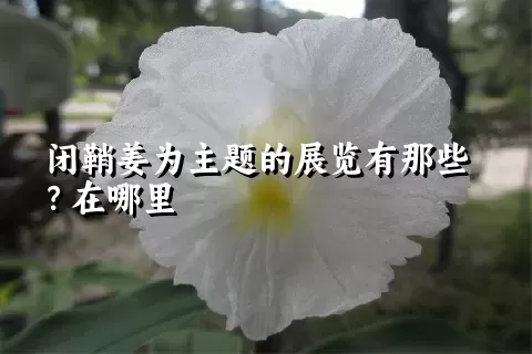 闭鞘姜为主题的展览有那些？在哪里