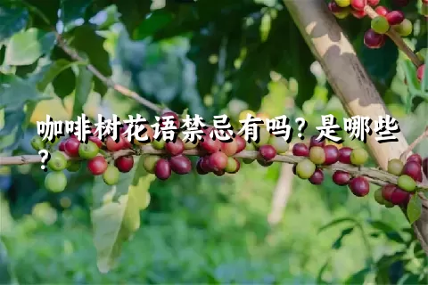 咖啡树花语禁忌有吗？是哪些？