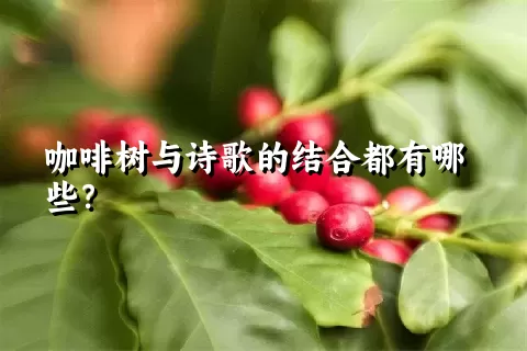 咖啡树与诗歌的结合都有哪些？