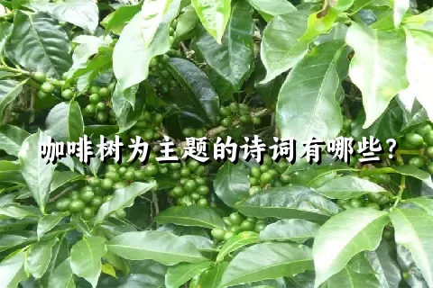 咖啡树为主题的诗词有哪些？