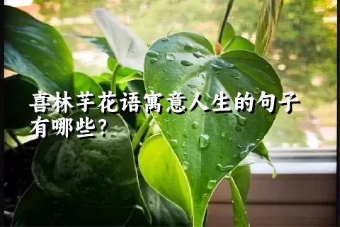 喜林芋花语寓意人生的句子有哪些？