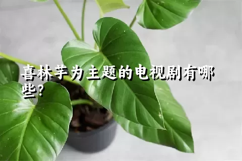 喜林芋为主题的电视剧有哪些？