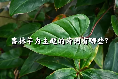 喜林芋为主题的诗词有哪些？