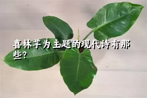 喜林芋为主题的现代诗有那些？