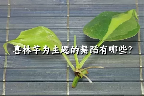 喜林芋为主题的舞蹈有哪些？